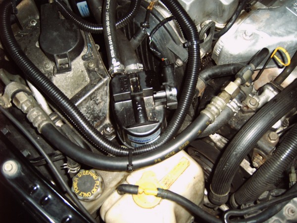 IMG00003.JPG (494.37 KiB) 13772 mal betrachtet IMG00003.JPG