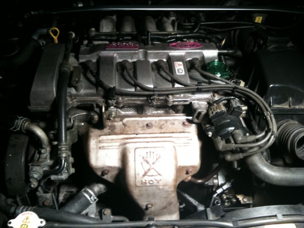 IMG_0023.jpg (919.62 KiB) 10012 mal betrachtet IMG_0023.jpg