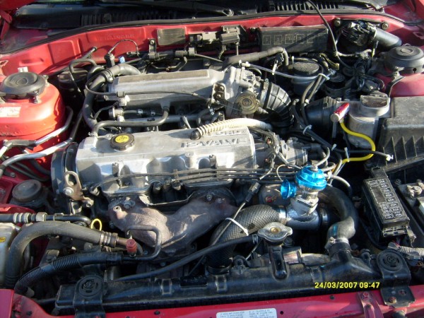 S6305971.JPG